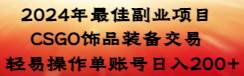 2024年最佳副业项目 CSGO饰品装备交易 轻易操作单账号日入200+-多米网络