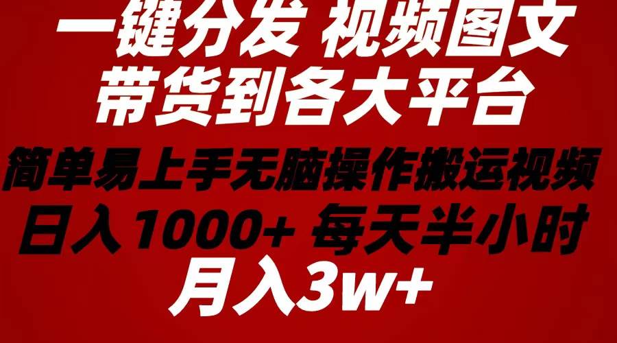 2024年 一键分发带货图文视频 简单易上手 无脑赚收益 每天半小时日入1…-多米网络
