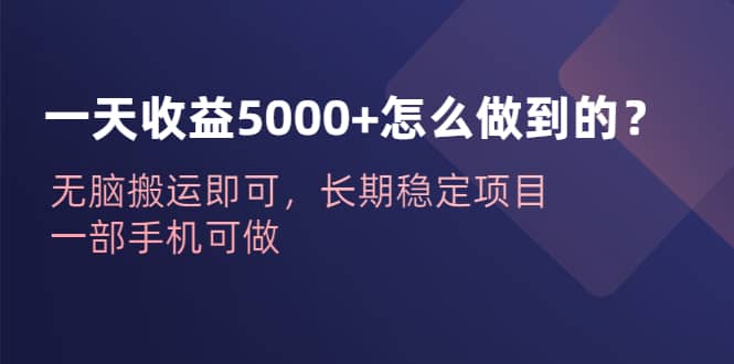 一天收益5000+怎么做到的？无脑搬运即可，长期稳定项目，一部手机可做-多米网络
