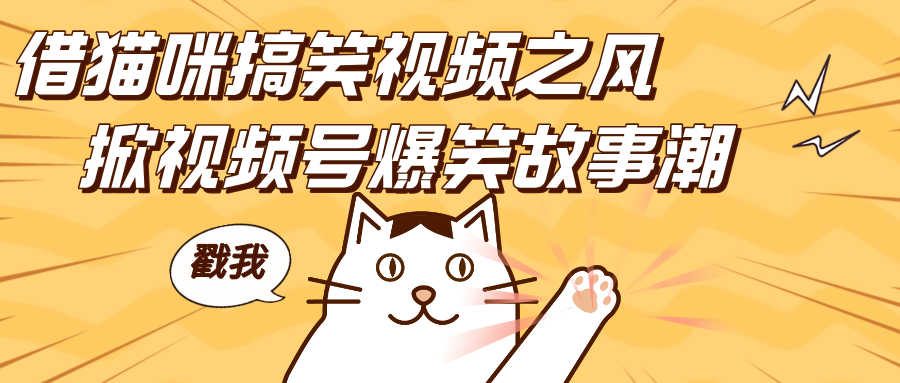 借猫咪搞笑视频之风，掀视频号爆笑故事潮，轻松日赚四位数，开启无门槛赚钱新体验！-多米网络
