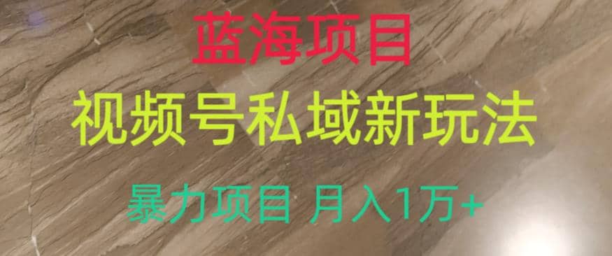 蓝海项目，视频号私域新玩法，暴力项目月入1万+【揭秘】-多米网络