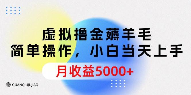 虚拟撸金薅羊毛，简单操作，小白当天上手，月收益5000+-多米网络