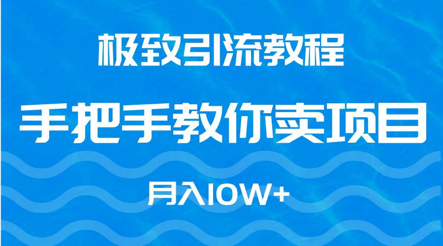 极致引流教程，手把手教你卖项目，月入10W+-多米网络