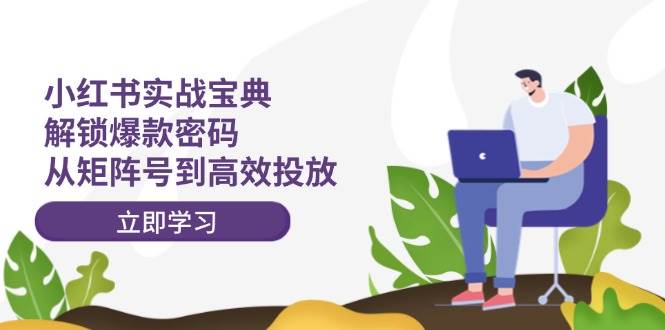 小红书实战宝典：解锁爆款密码，从矩阵号到高效投放-多米网络