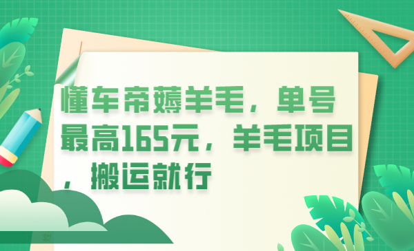 懂车帝薅羊毛，单号最高165元，羊毛项目，搬运就行-多米网络