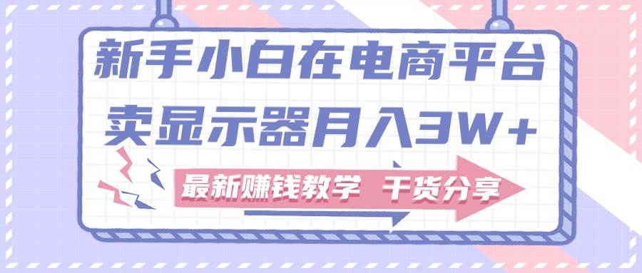 新手小白如何做到在电商平台卖显示器月入3W+，最新赚钱教学干货分享-多米网络