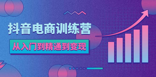 抖音电商训练营：从入门到精通，从账号定位到流量变现，抖店运营实操-多米网络