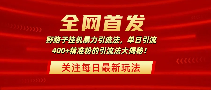 全网首发，野路子挂机暴力引流法，单日引流400+精准粉的引流法大揭秘！-多米网络