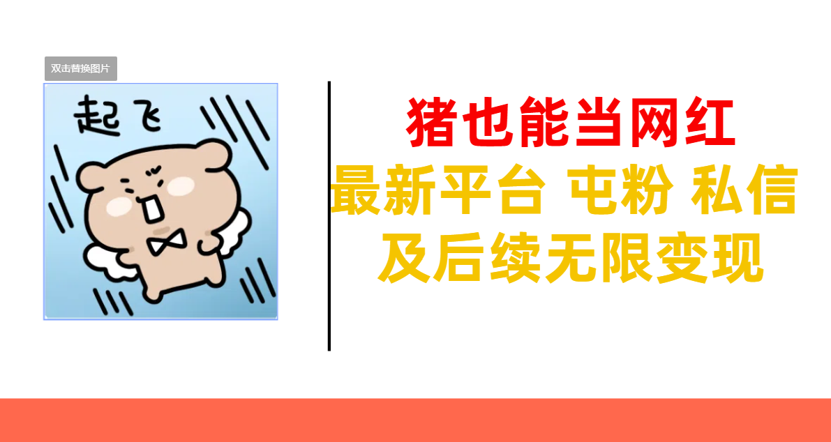 猪也能当网红-最新平台 屯粉 交流 私信 及后续无限变现-多米网络