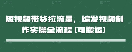 短视频带货拉流量，编发视频制作实操全流程(可搬运)-多米网络