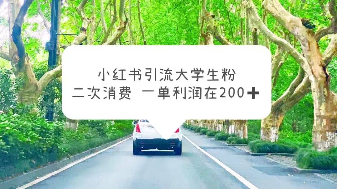 小红书引流大学生粉，变现项目，一单利润在200+（教程+资源）-多米网络