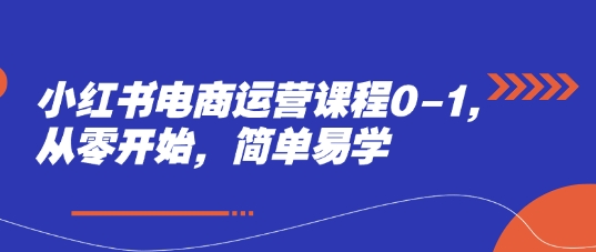 小红书电商运营课程0-1，从零开始，简单易学-多米网络