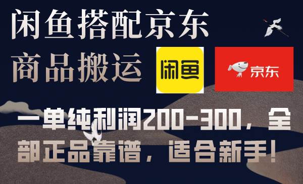 闲鱼搭配京东备份库搬运，一单纯利润200-300，全部正品靠谱，适合新手！-多米网络