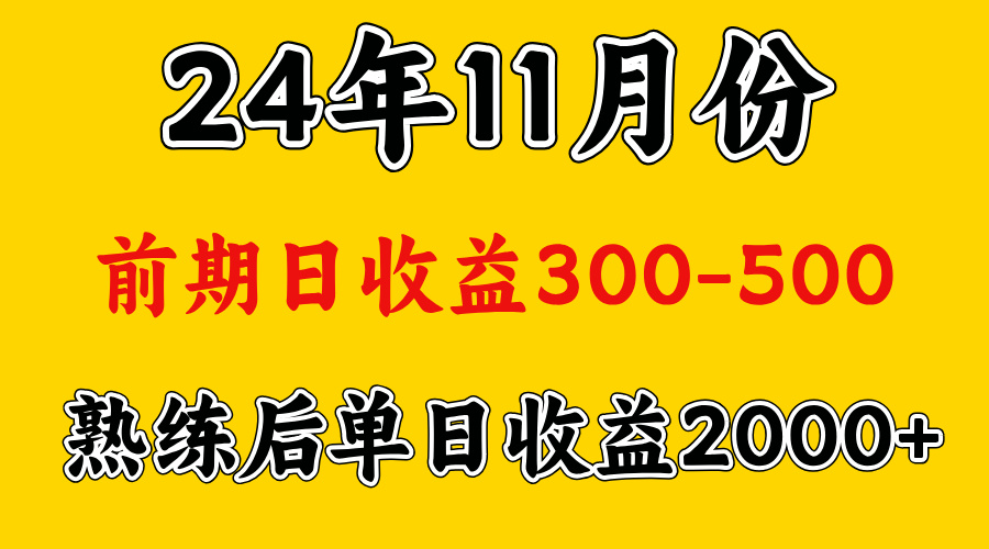 轻资产项目，前期日收益500左右，后期日收益1500-2000左右，多劳多得-多米网络
