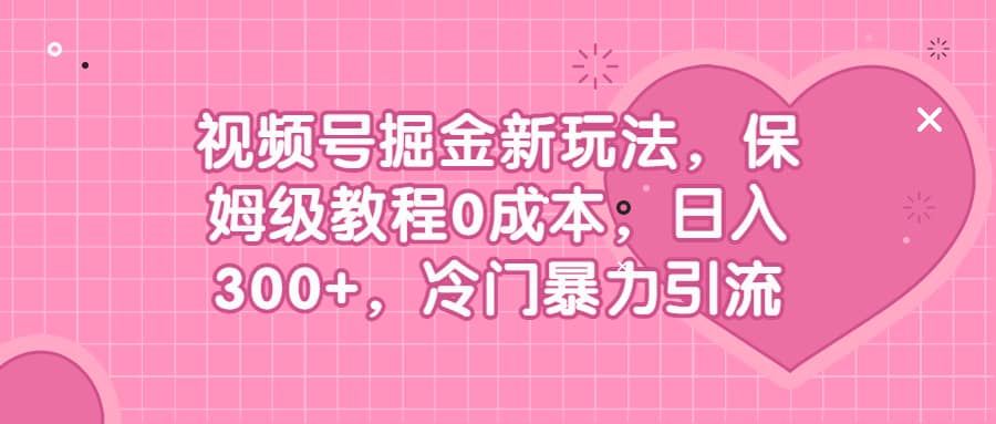 视频号掘金新玩法，保姆级教程0成本，日入300+，冷门暴力引流-多米网络