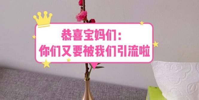 恭喜宝妈们：你们又要被我们引流了（教程+222g资料）-多米网络