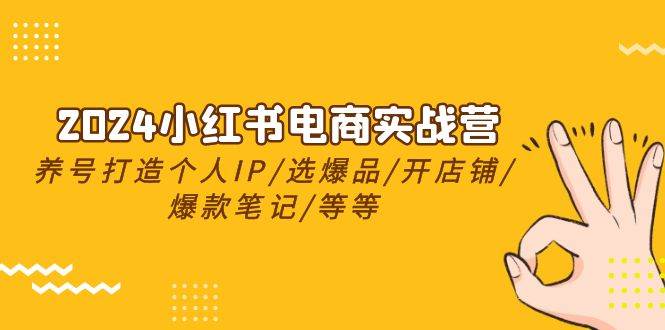2024小红书电商实战营，养号打造IP/选爆品/开店铺/爆款笔记/等等（24节）-多米网络