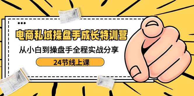 电商私域-操盘手成长特训营：从小白到操盘手全程实战分享-24节线上课-多米网络
