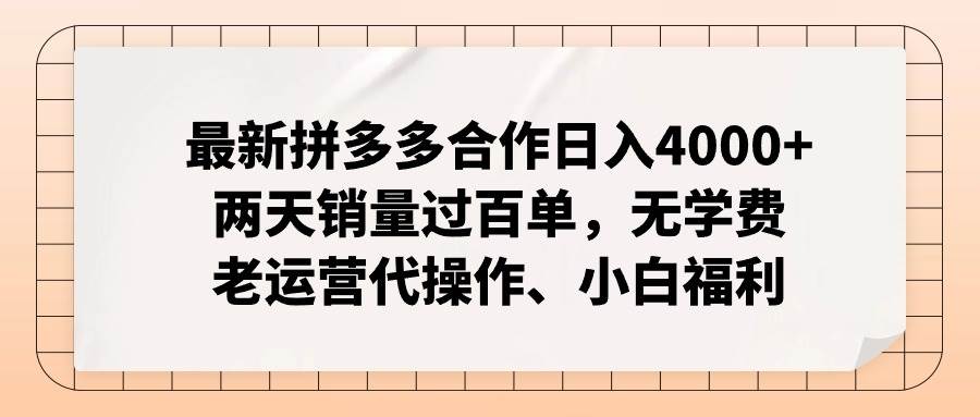 最新拼多多合作日入4000+两天销量过百单，无学费、老运营代操作、小白福利-多米网络