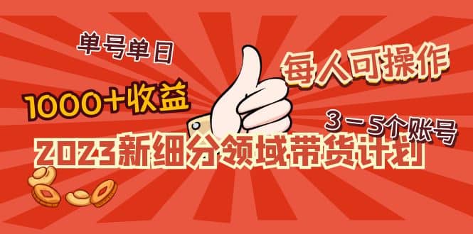 2023新细分领域带货计划：单号单日1000+收益不难，每人可操作3-5个账号-多米网络