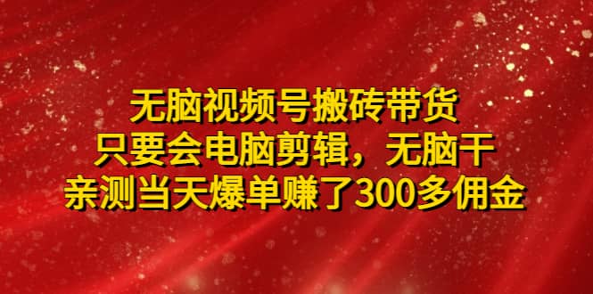 无脑视频号搬砖带货，只要会电脑剪辑，无脑干-多米网络