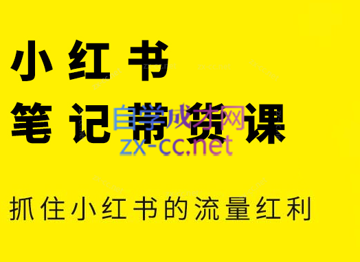 张宾·小红书笔记带货课(更新4月)-多米网络