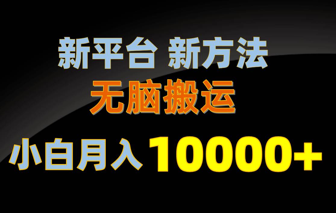 新平台新方法，无脑搬运，月赚10000+，小白轻松上手不动脑-多米网络