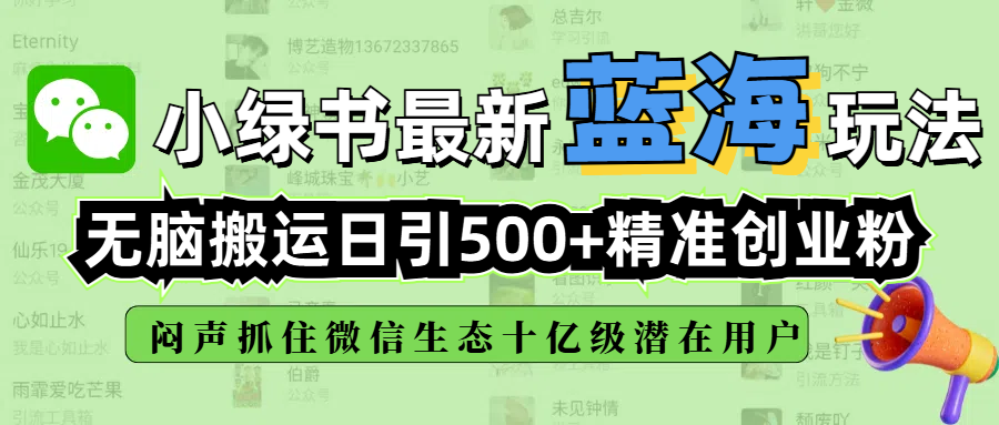 小绿书最新蓝海玩法，无脑搬运日引500+精准创业粉，闷声抓住微信生态十亿级潜在用户-多米网络