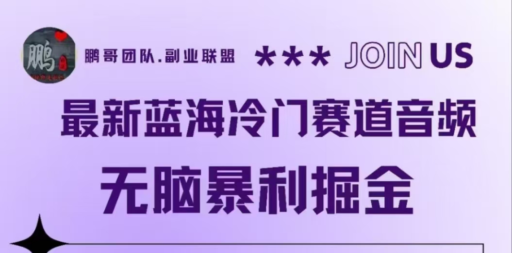 最新蓝海冷门赛道音频，无脑暴利掘金-多米网络