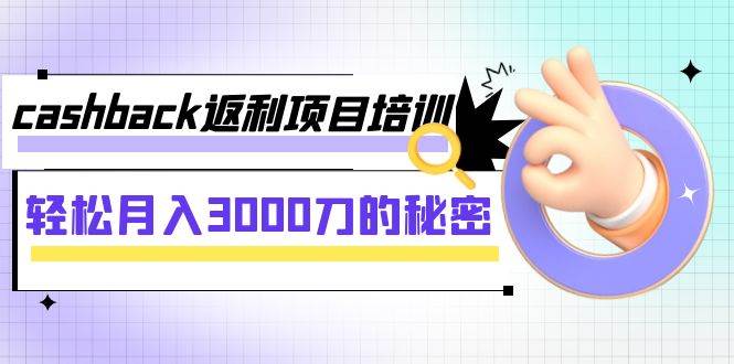 cashback返利项目培训：轻松月入3000刀的秘密（8节课）-多米网络
