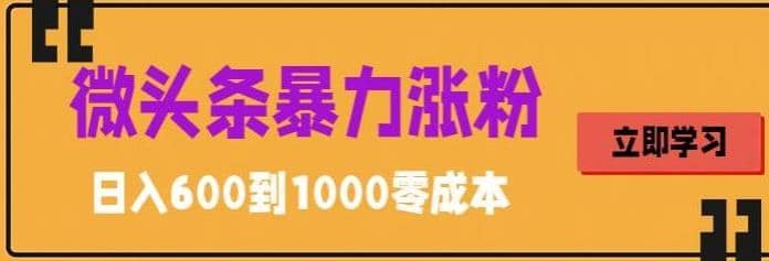 微头条暴力涨粉技巧搬运文案就能涨几万粉丝，简单0成本，日赚600-多米网络