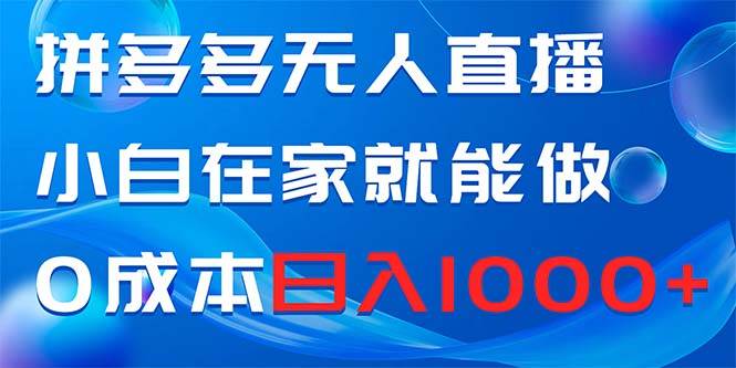 拼多多无人直播，小白在家就能做，0成本日入1000+-多米网络
