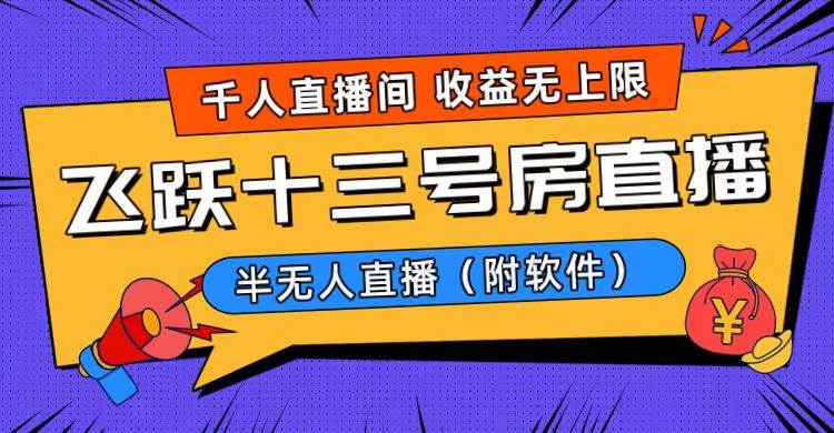 爆火飞跃十三号房半无人直播，一场直播上千人，日入过万！（附软件）-多米网络