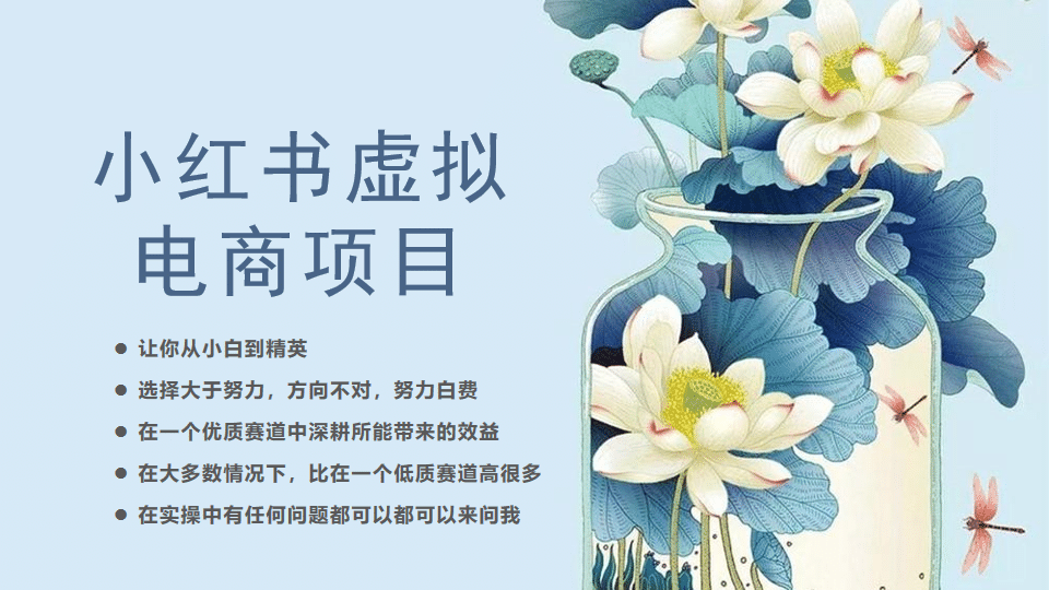 小红书虚拟电商从0到1，让你从小白到精英（20节实操课程）-多米网络