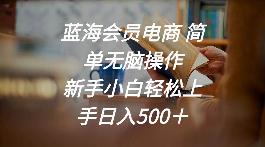 蓝海会员电商 简单无脑操作 新手小白轻松上手日入500＋-多米网络