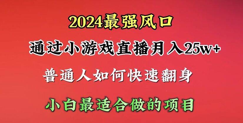 2024年最强风口，通过小游戏直播月入25w+单日收益5000+小白最适合做的项目-多米网络