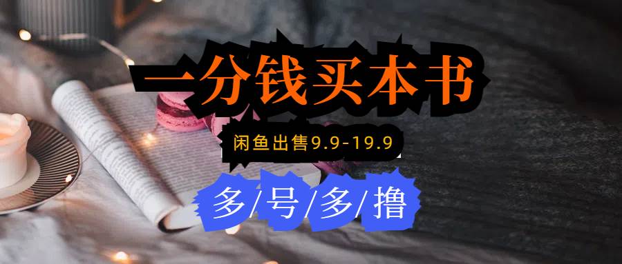 每天花1分钱买一本书，闲鱼出售9.9-19.9不等，多账号多撸 新手小白均可操作-多米网络