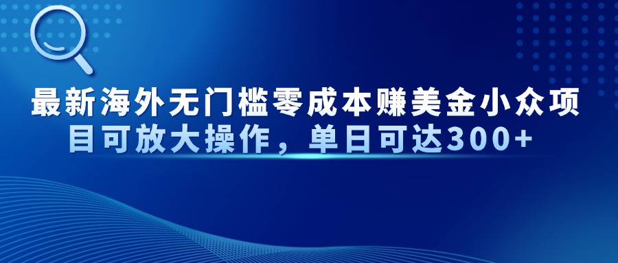 最新海外无门槛美金小众项目可放大操作，单日可达300+-多米网络