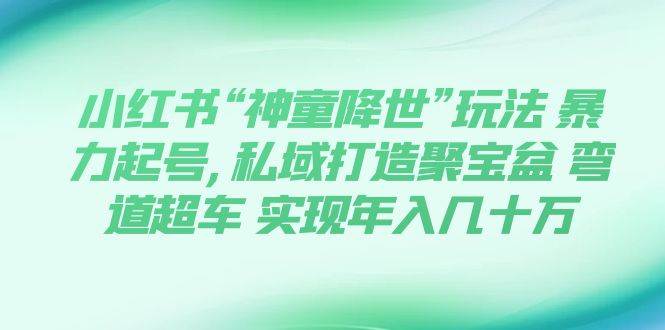 小红书“神童降世”玩法 暴力起号,私域打造聚宝盆 弯道超车 实现年入几十万-多米网络