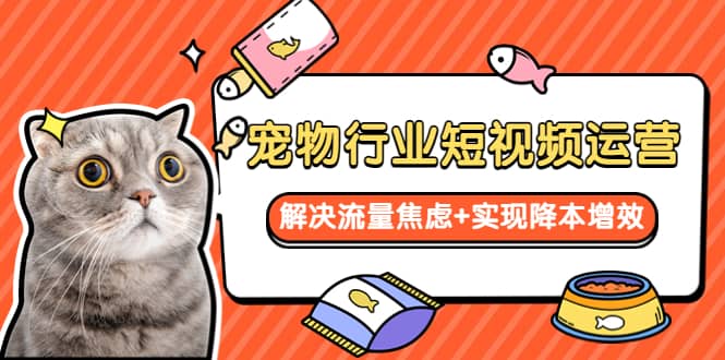 宠物/行业短视频运营 流量增长的一层窗户纸 解决流量焦虑+实现降本增效-多米网络