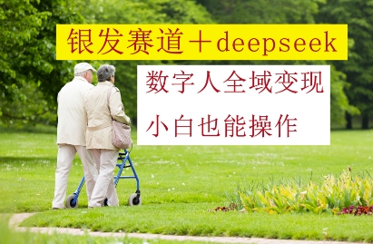 银发赛道+deepseek数字人全域变现，小白也能操作-多米网络