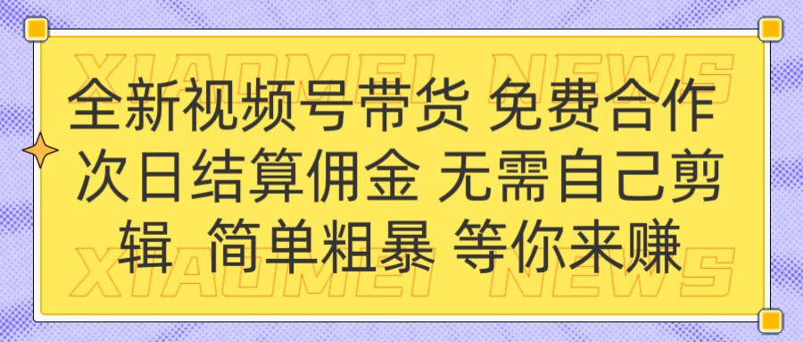 全新视频号 免费合作 佣金次日结算 无需自己剪辑-多米网络
