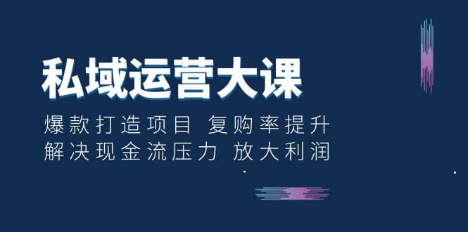 私域运营大课：爆款打造项目 复购率提升 解决现金流压力 放大利润-多米网络