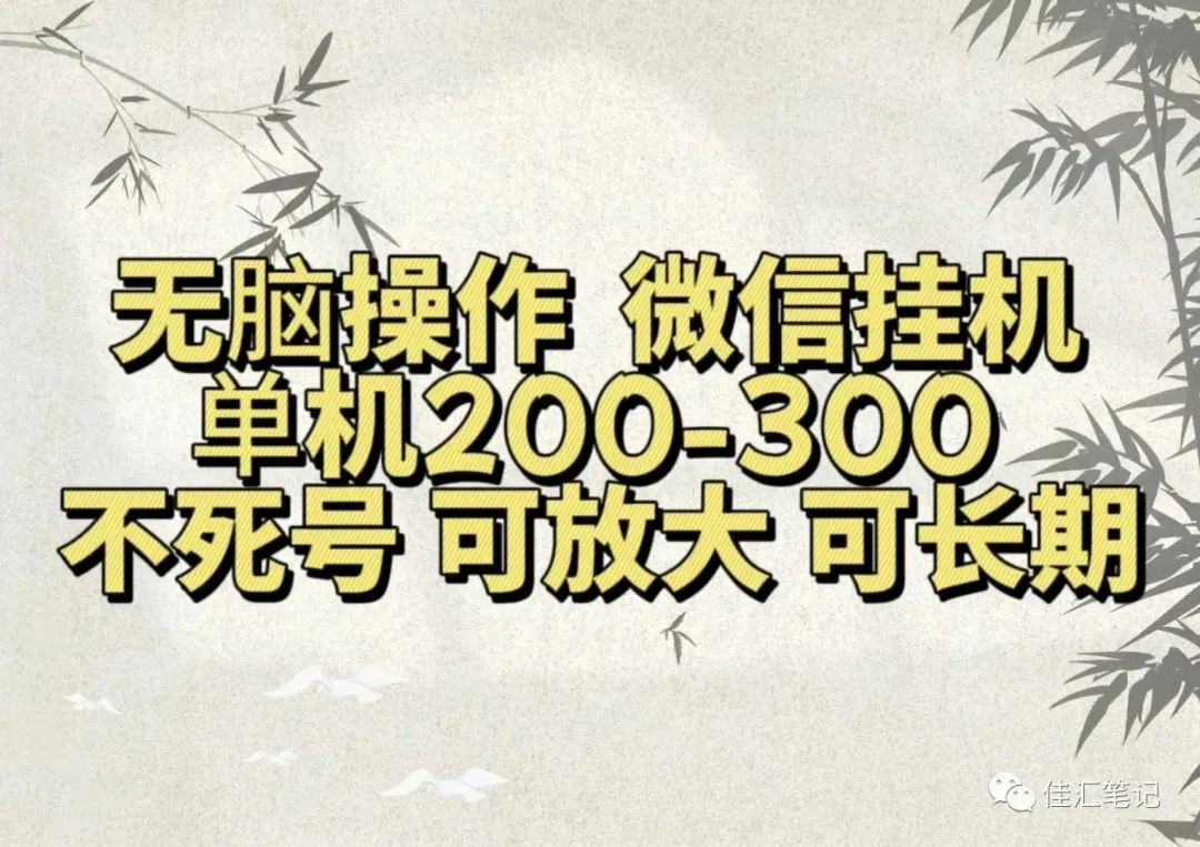 无脑操作微信视频号挂机单机200-300一天，不死号，可放大，工作室实测-多米网络