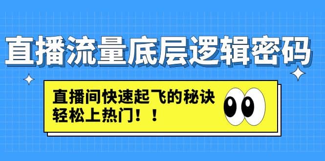 直播流量底层逻辑密码：直播间快速起飞的秘诀，轻松上热门-多米网络