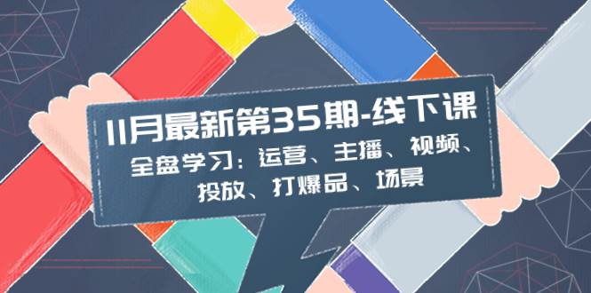 11月最新-35期-线下课：全盘学习：运营、主播、视频、投放、打爆品、场景-多米网络