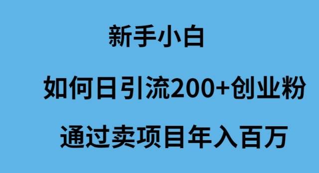 新手小白如何日引流200+创业粉通过卖项目年入百万-多米网络