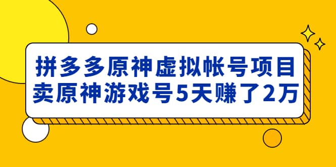 外面卖2980的拼多多原神虚拟帐号项目-多米网络