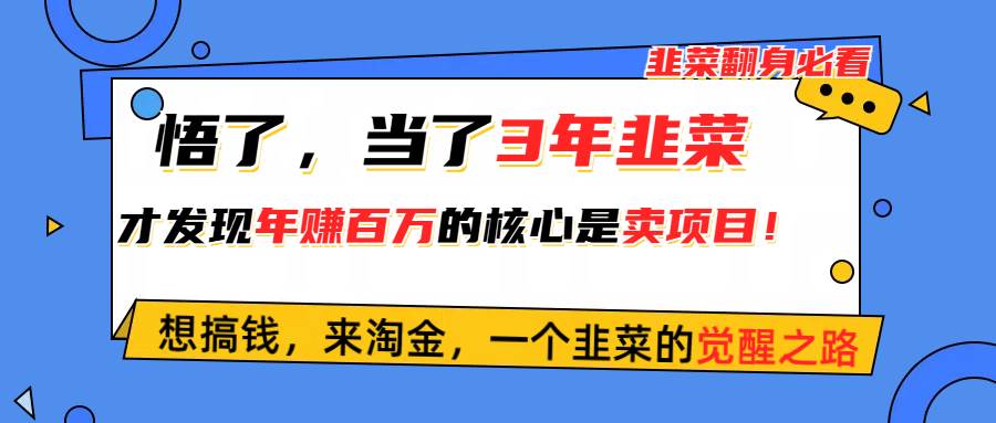 悟了，当了3年韭菜，才发现网赚圈年赚100万的核心是卖项目，含泪分享！-多米网络
