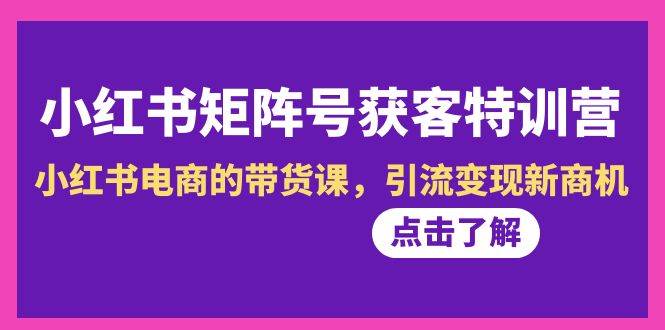 小红书-矩阵号获客特训营-第10期，小红书电商的带货课，引流变现新商机-多米网络